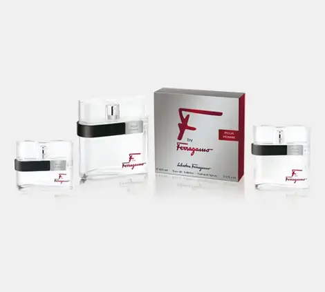 Salvatore Ferragamo F 8032529115653 Photo 4