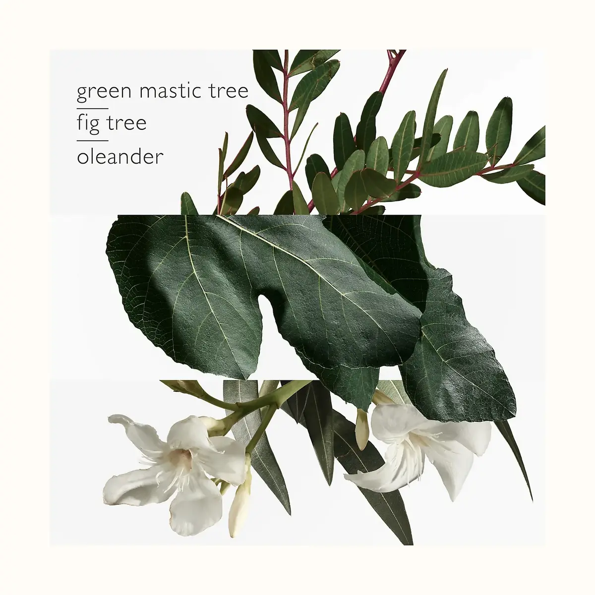 Hermes Un Jardin en Mediterranee 712645 Photo 2