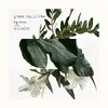 Hermes Un Jardin en Mediterranee 712645 Photo 2