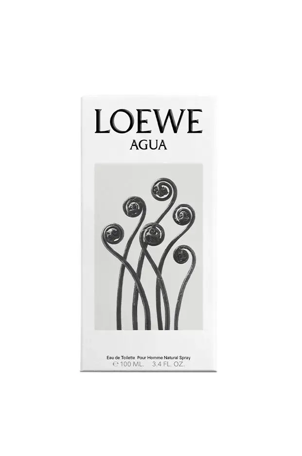 LOEWE Perfumes Agua 8426017066440 Photo 3