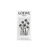 LOEWE Perfumes Agua 8426017066440 Photo 3