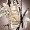 TOM FORD Vanilla Sex 139724 Photo 3