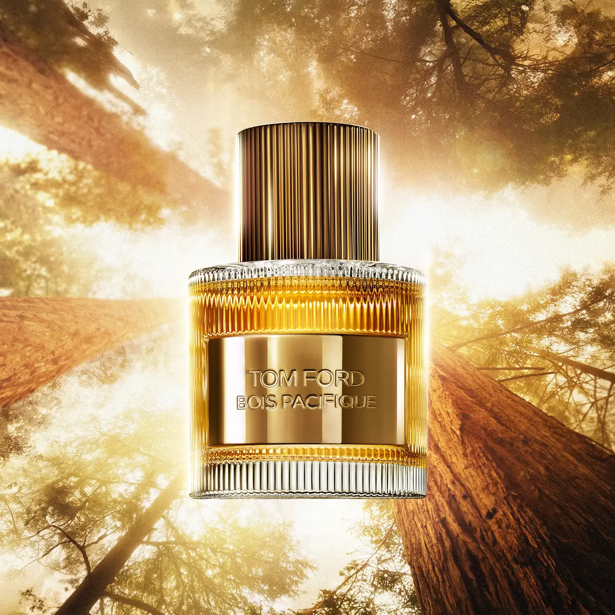 TOM FORD Bois Pacifique TEEX010001 Photo 2