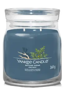 Yankee Candle Bayside Cedar wax candle Cylinder Amber, Grapefruit, Mandarin Blue 1 pc(s)