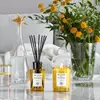 Acqua di Parma Insieme wax candle ADP062023 Photo 3