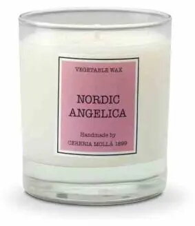 Aromātiskā svece Świeca Santiago 230 g