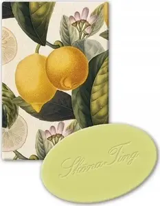 Decorative soap TEKA STTVAL607, lemon-scented, bar soap