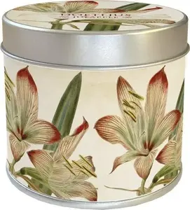 Scented Candle Skona Ting 202 — Amarylis fragrance with apple scent