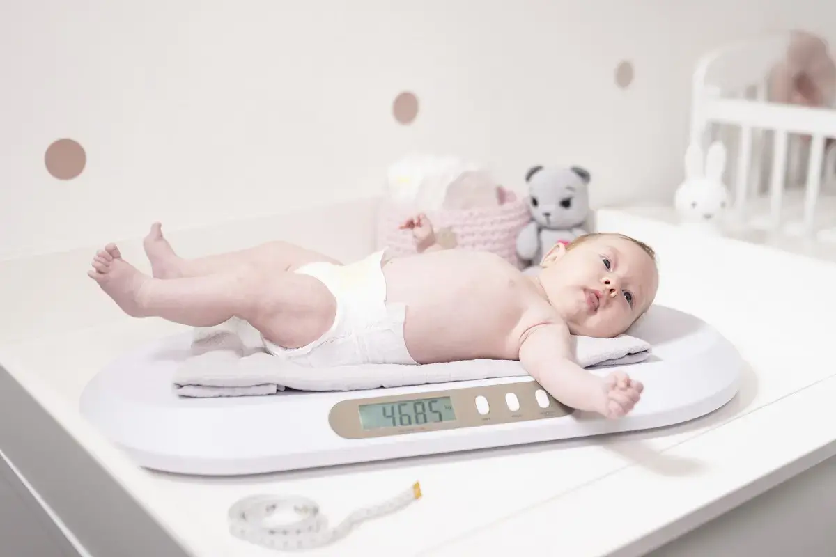 Concept VD4000 baby scale VD4000 Photo 2