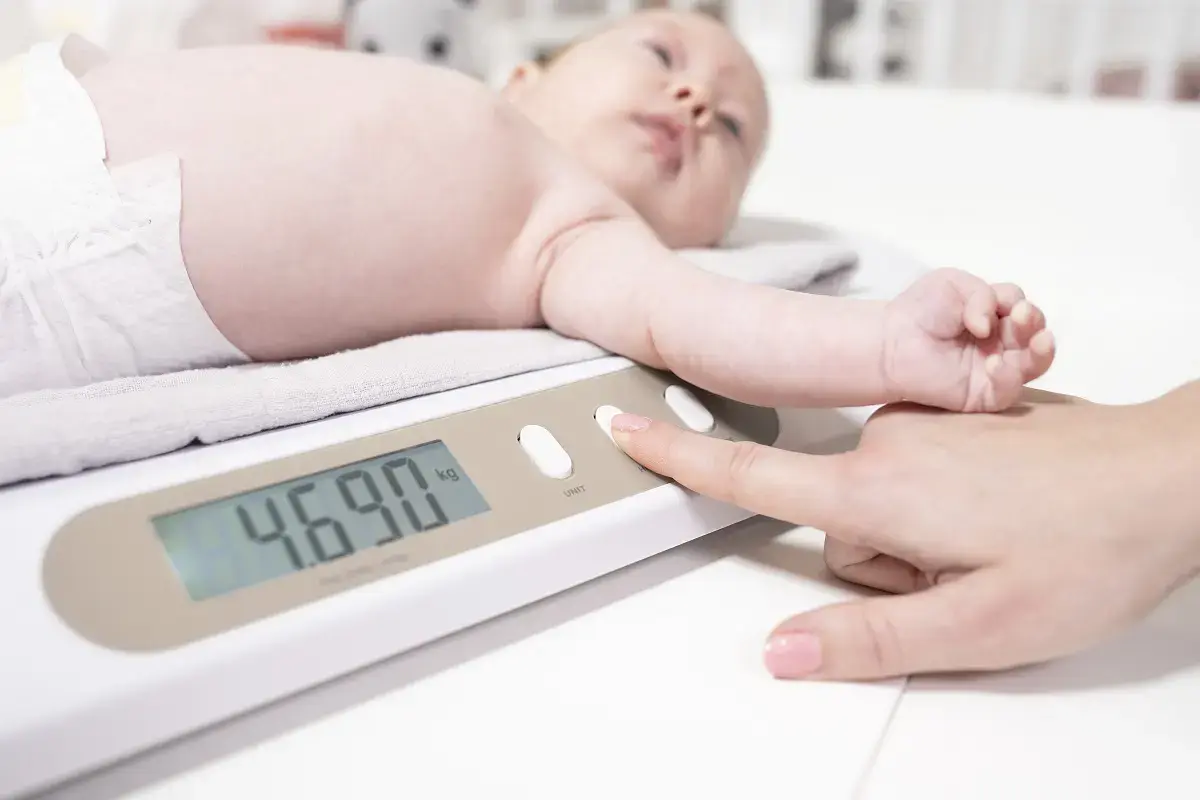 Concept VD4000 baby scale VD4000 Photo 3