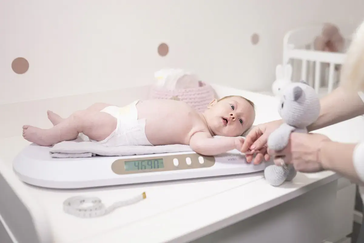 Concept VD4000 baby scale VD4000 Photo 5