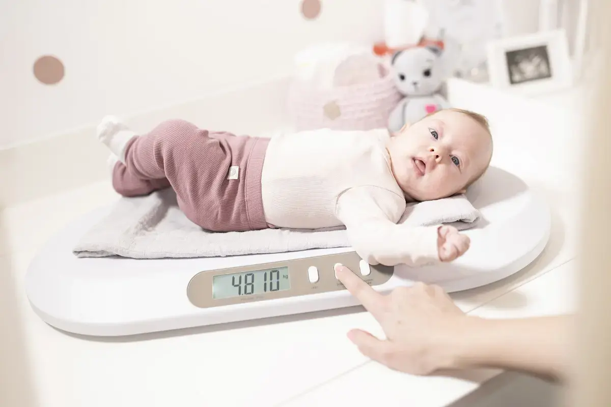 Concept VD4000 baby scale VD4000 Photo 6