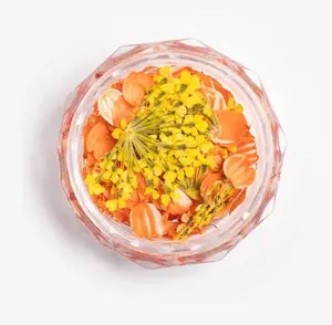 Nail decoration flakes SEMILAC Flower Flakes Golden Sunset