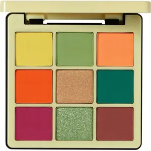 Eyeshadow palette Anastasia Beverly Hills Norvina Collection — professional eyeshadow set
