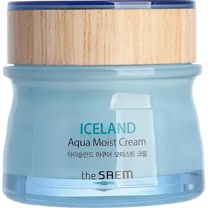 Крем для лица theSaem Iceland Aqua Moist Cream 60 мл увлажняющий