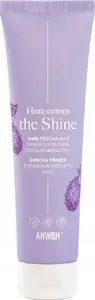 Hair Shine Primer Alkotest ANWEN Here Comes The Shine for medium-porosity hair 100 ml