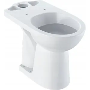 Чаша унитаза GEBERIT Selnova Comfort стоячая, воронкообразный выпуск, B36×H46×T67 см, повышенной высоты, горизонтальный выпуск, для инвалидов