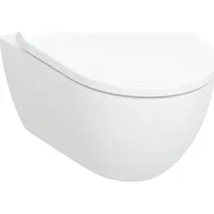 Подвесная чаша унитаза GEBERIT Acanto, воронкообразная, Ш36×В38.5×Г53 см, скрытый крепёж, смыв TurboFlush, в комплекте сиденье с верхним креплением, плавное закрывание, съёмные петли