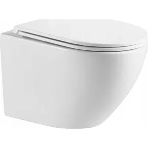 Унитаз-черепок Omnires OTTAWAMWBP 49x37 см с сиденьем