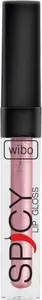 Lip gloss Wibo WIBO_Spicy, shade 18, 3 ml