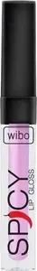Lip gloss Wibo WIBO_Spicy 3 ml — shade 19, glossy lip shine