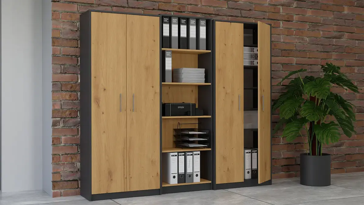Topeshop OLIV 2D ANT/ART KPL office bookcase OLIV 2D ANT/ART KPL Photo 5