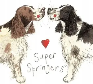 Sink mixer TEKA Magnes FM02 Springer spaniel