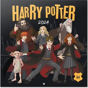 Wall calendar 2024 Harry Potter, 30 x 30 cm, yearly format