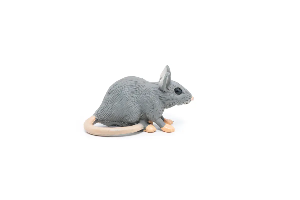 Kolekcionējama figura Papo House Mouse Photo 7