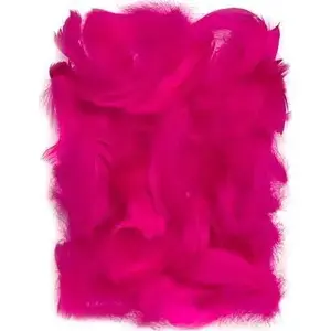 Feathers Dalprint DPCRAFT 5–12 cm 10 g dark pink – craft feathers for decoration and DIY