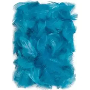 Decorative Feathers DP Craft model CEPI-025, turquoise, length 5–12 cm
