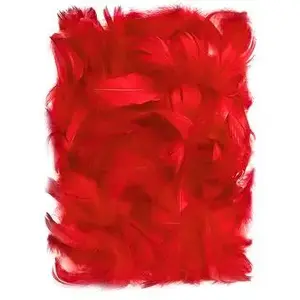 Decorative Feathers DP Craft, assorted red, 5–12 cm, pack CEPI-015