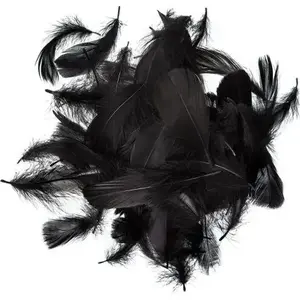 Feathers Dalprint Dpcraft 5–12 cm black 10 g pack
