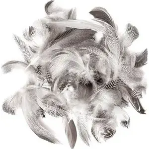Feathers DP Craft PIÓRA KACZE 5–12 cm, 5 g – natural duck feathers for crafts and decoration