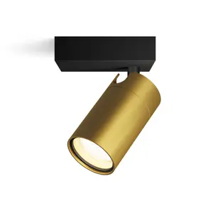 Ceiling/Wall Spotlight Philips Idris — Rail lighting spot, GU10, 1 LED bulb, IP44, 220–240V, black/brass