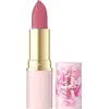 header-product