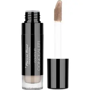 Pierre Rene Contour Concealer under-eye concealer shade 02