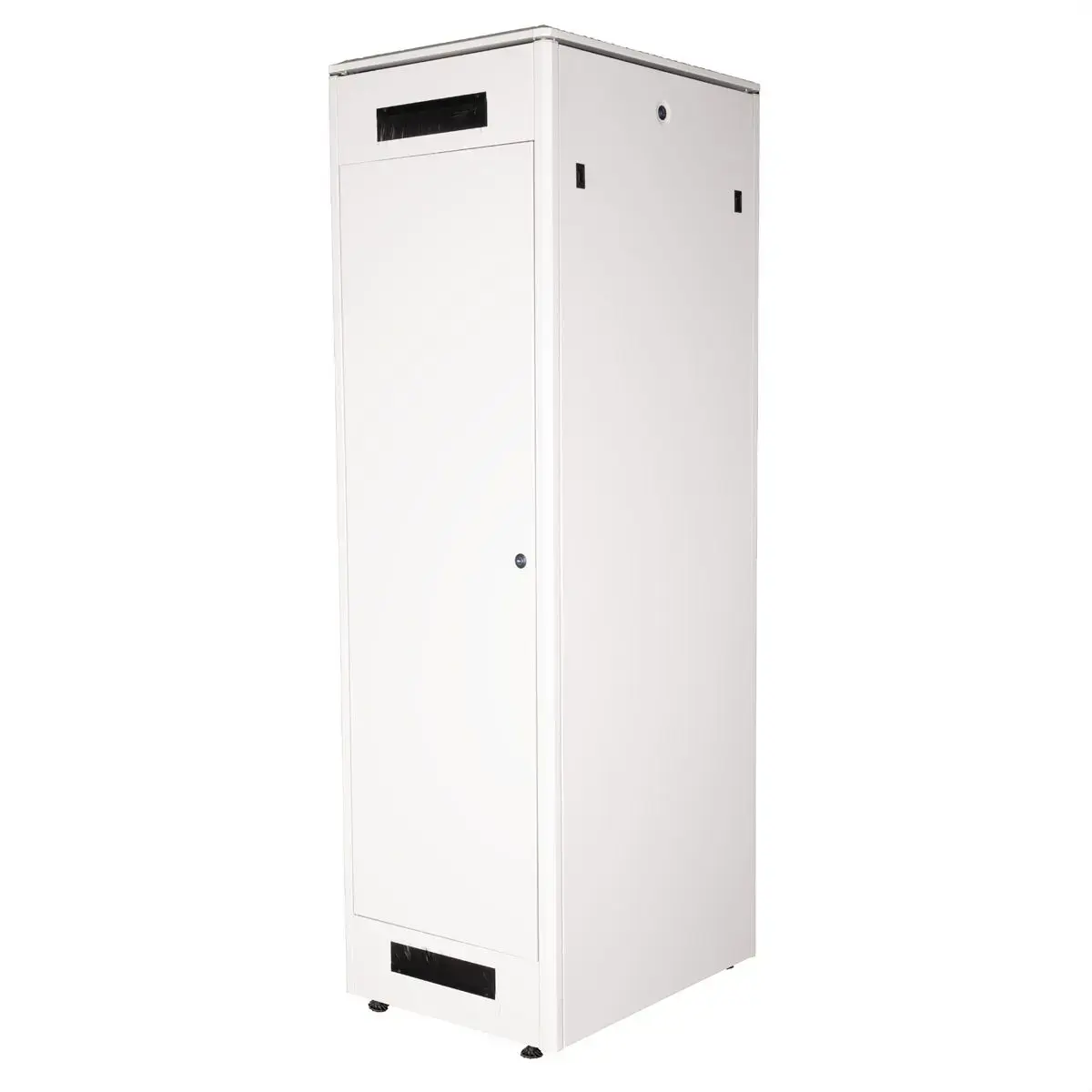 ROLINE 19-inch Network Cabinet Pro 42U Photo 3