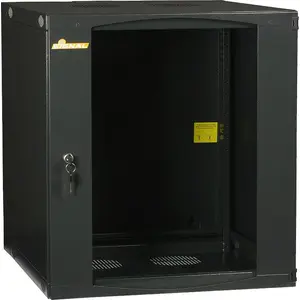 Настенный 19" шкаф Delta 12U R19-12U/600/2S — 12U, глубина 600 мм, монтаж 19 дюймов