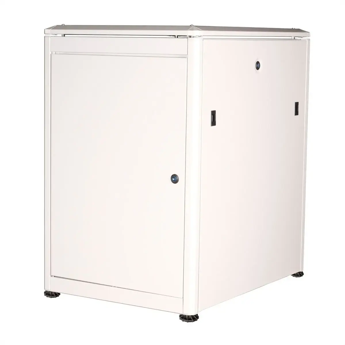 ROLINE Pro 19" Network Cabinet 16U 600x800 Photo 2