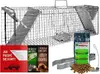header-product