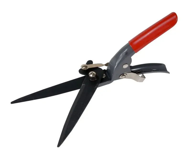 Hedge clipper Proline 40052 Photo 2