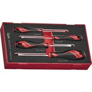 Набор плоских отверток Teng Tools TEAMD04N, 4 шт.