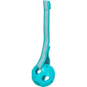 Игрушка-мяч для собак и кошек Trixie TRIXIE 33545 — синий, диаметр 6 см, высота 230 мм