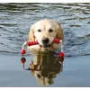Trixie Aqua Toy MOT-Long dog water toy Photo 3