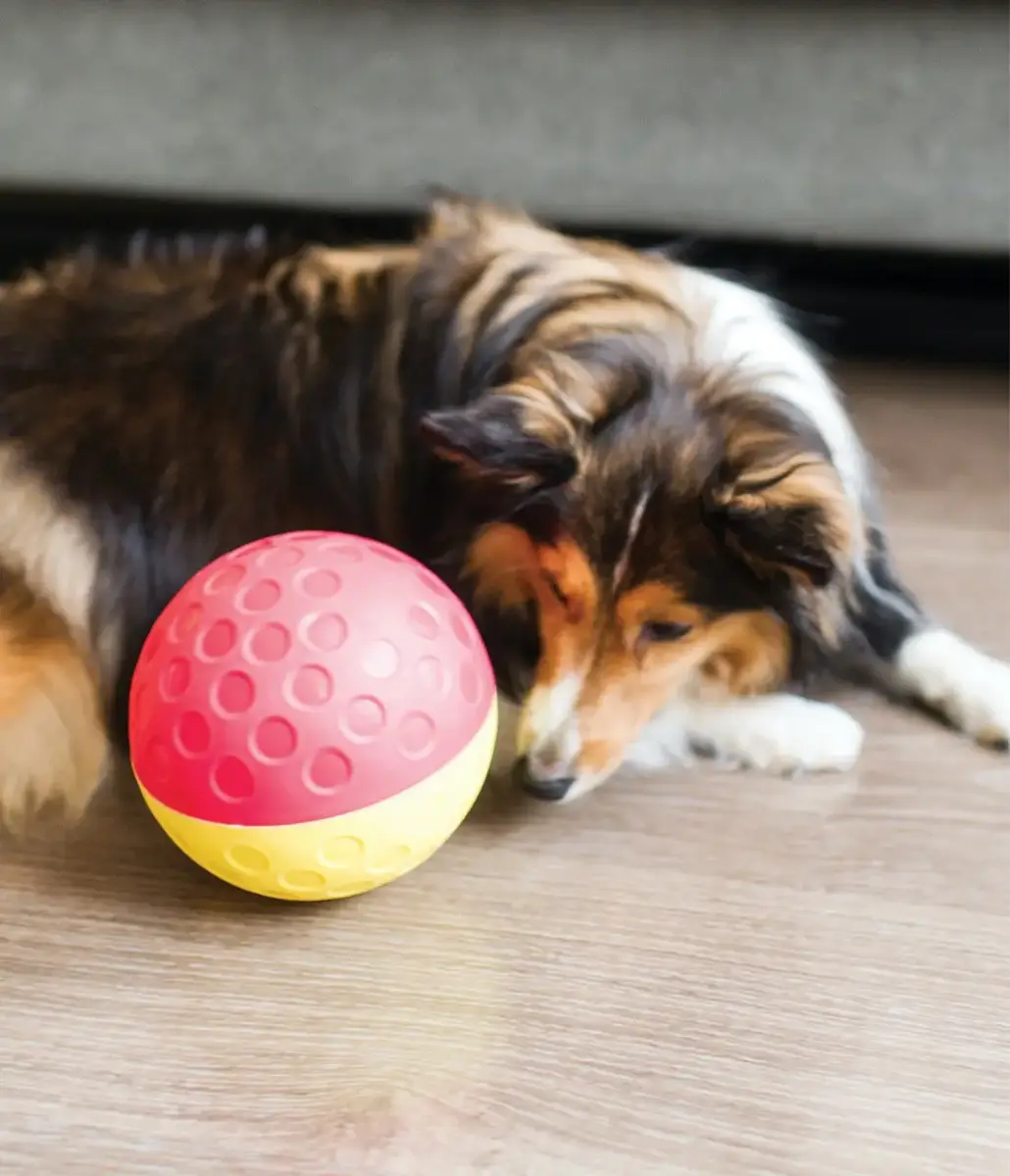 Outward Hound Treat Tumble — большая интерактивная игрушка Photo 2