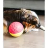 Outward Hound Treat Tumble — большая интерактивная игрушка Photo 2