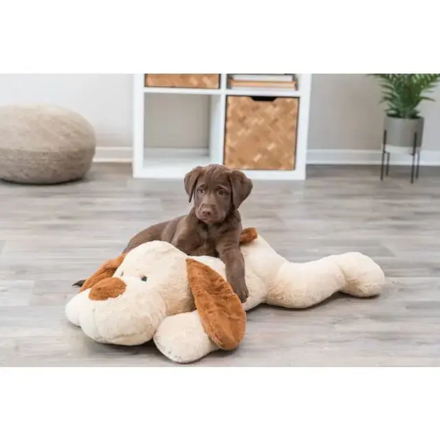 Плюшевая игрушка для собак Trixie TRIXIE Benny Photo 5