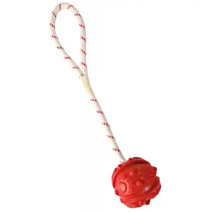 Игрушка для собак Trixie Aqua Toy Ball on Rope — диаметр 7 см, шнур 350 мм, в ассортименте