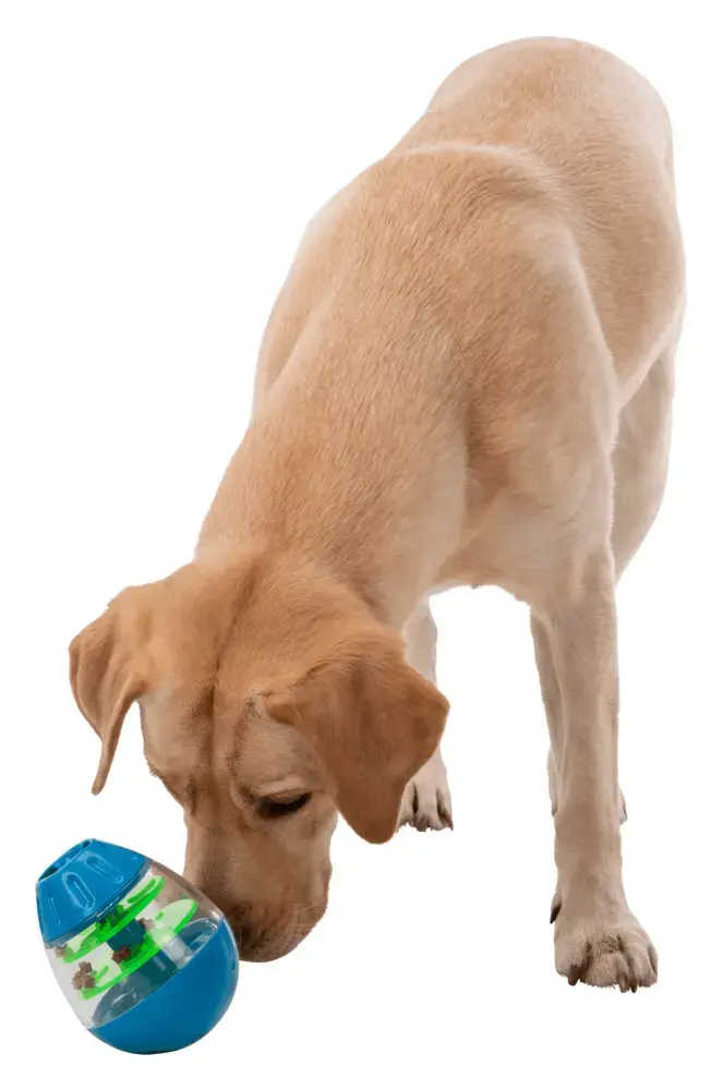 Trixie TRIXIE 34951 interactive pet toy Photo 10